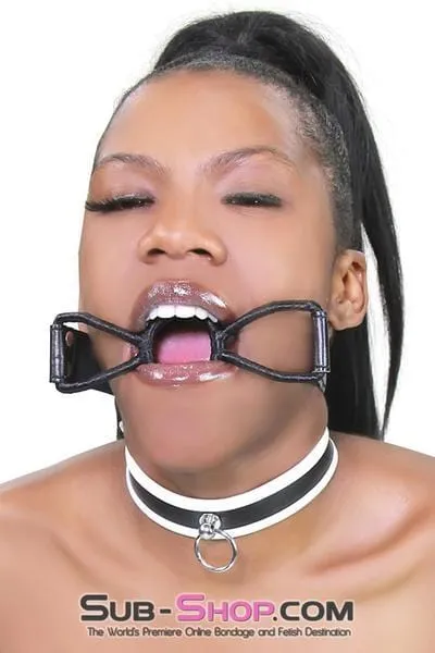1852RS      White Trimmed Kitten Collar - MEGA Deal