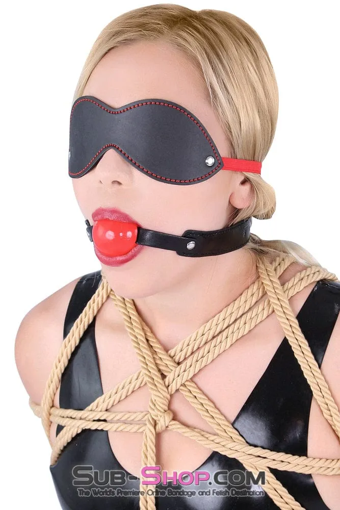 8947DL      Bondage Basics Beginner’s Red Rubber Ball Gag - MEGA Deal