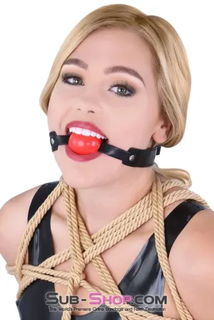 8947DL      Bondage Basics Beginner’s Red Rubber Ball Gag - MEGA Deal