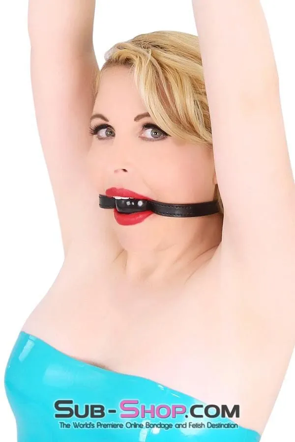 8999DL      Bondage Basics Black Rubber Classic Ball Gag - MEGA Deal