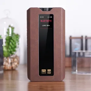 FiiO SK-Q15 Leather Case for Q15