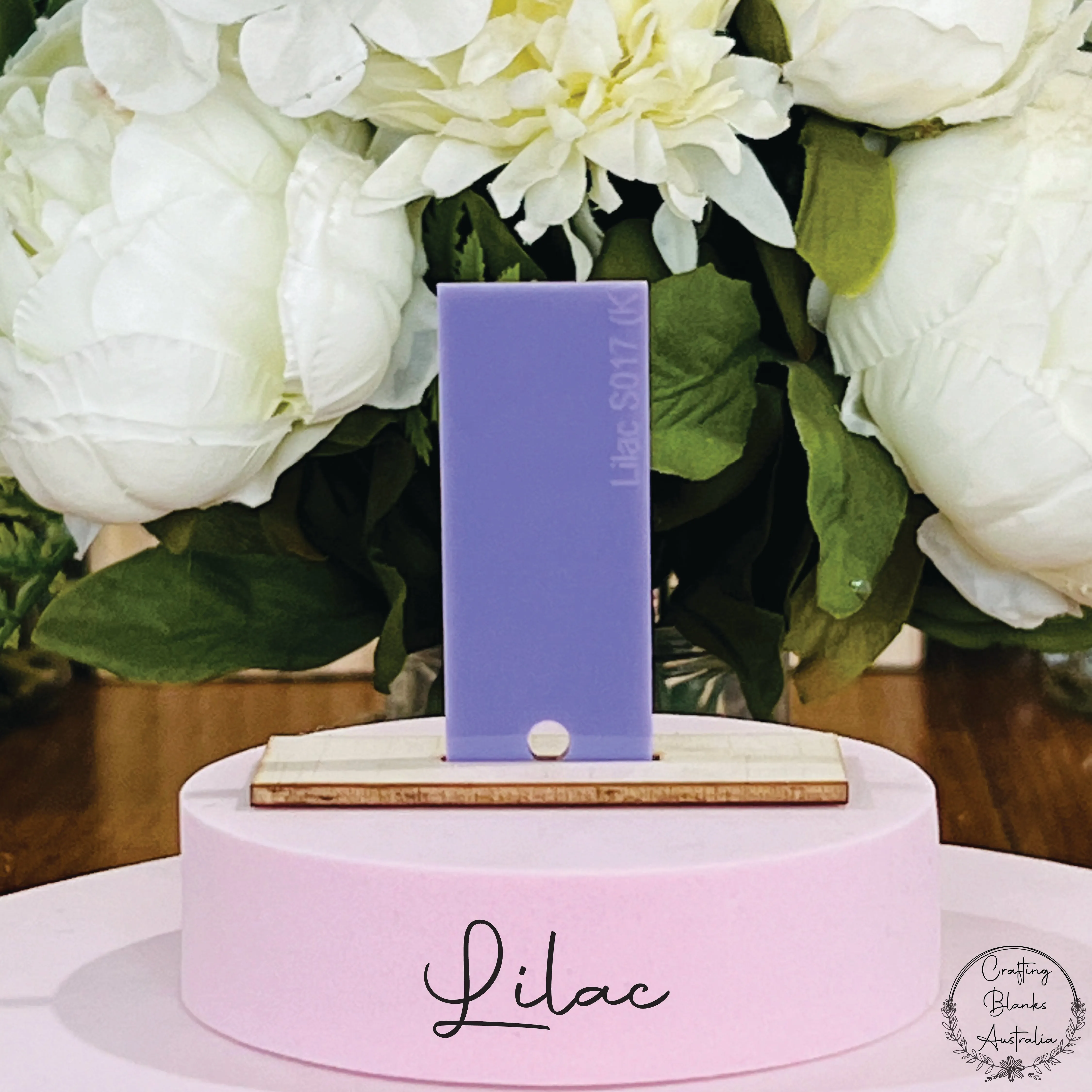 Gift Card • Letter Holder • Envelope Shape • 100mm