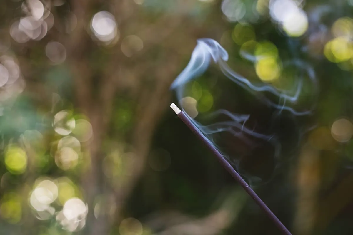 Incense Bundle