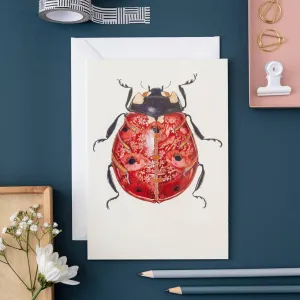 Ladybird Note Card