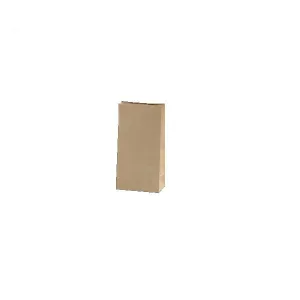 Paper Gift Bags - Plain (Pack of 50)
