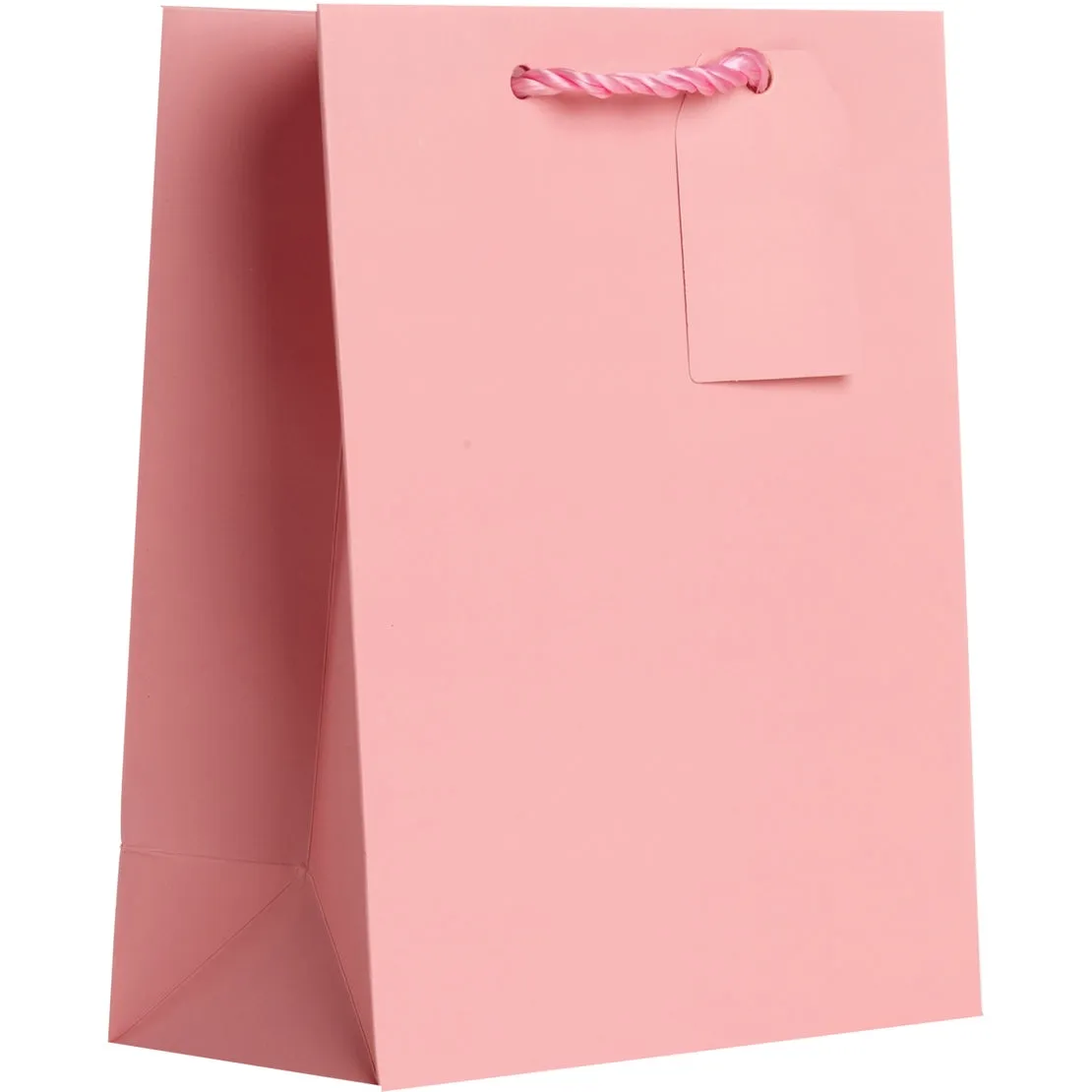 Pastel Pink Gift Bag - Medium