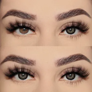 Pattaya Black 14.2mm 1 Pair | 1 Year