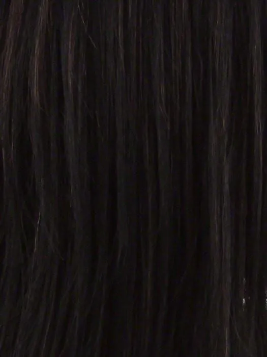 PB-65 | HF Synthetic Ponytail