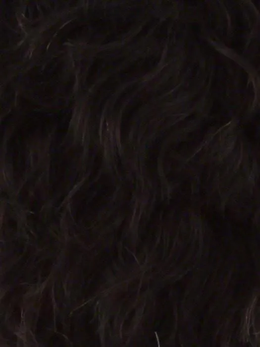 PB-65 | HF Synthetic Ponytail
