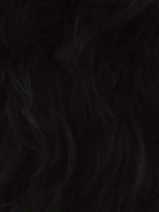 PB-65 | HF Synthetic Ponytail