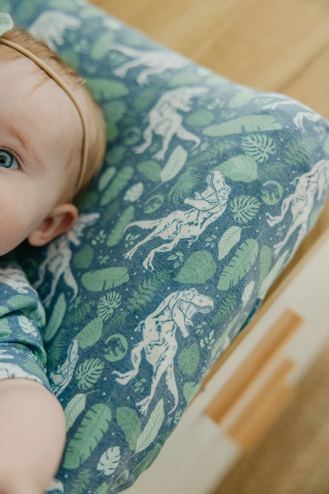 Premium Knit Diaper Changing Pad Cover - Jurassic Park