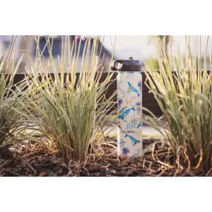 Seas the Day - Kids Insulated Drink Bottle [750mL]