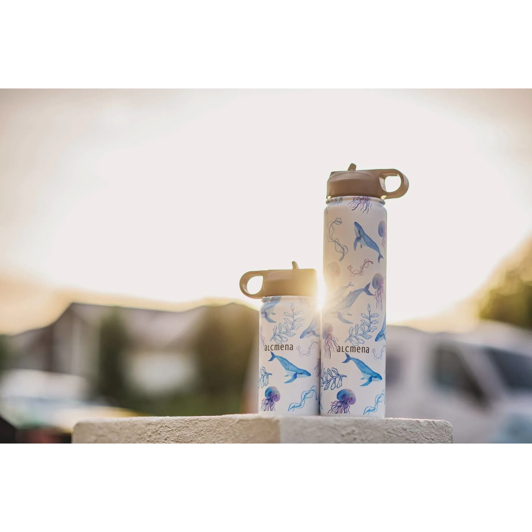 Seas the Day - Kids Insulated Drink Bottle [750mL]