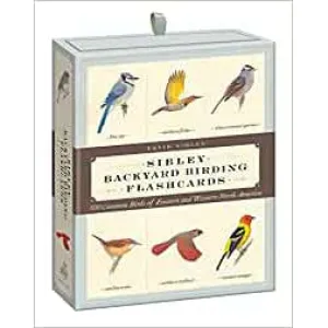 Sibley Backyard Birding Flashcards