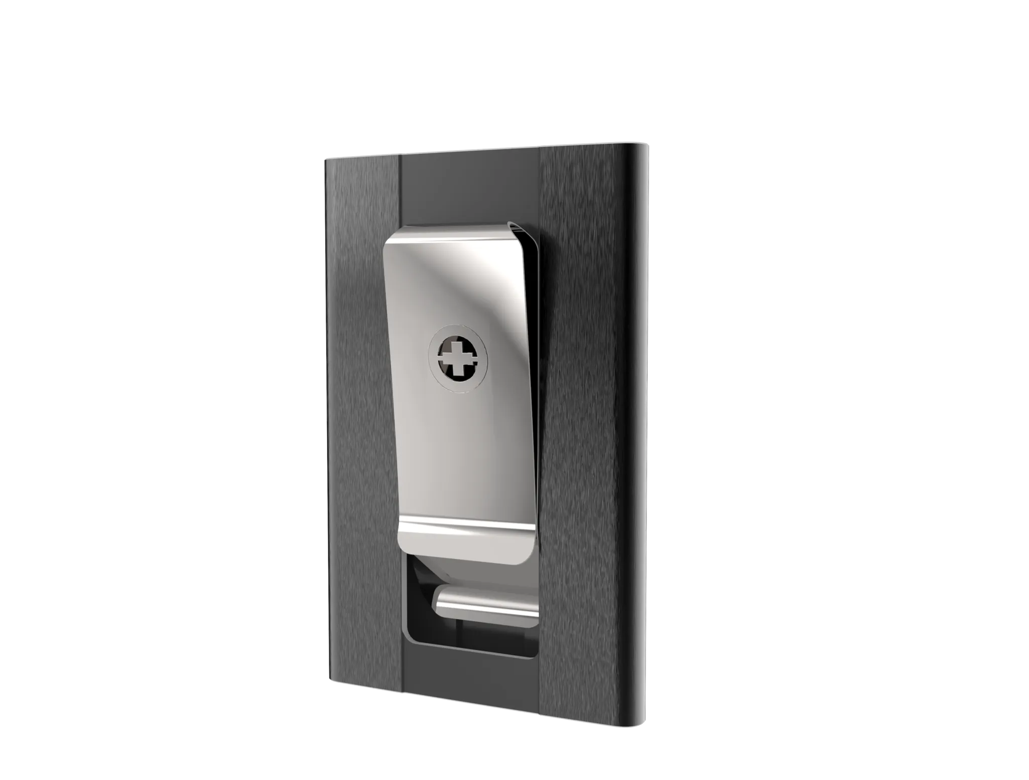 SWISS WALLET ICE, Cardholder Money-clip, brushed black
