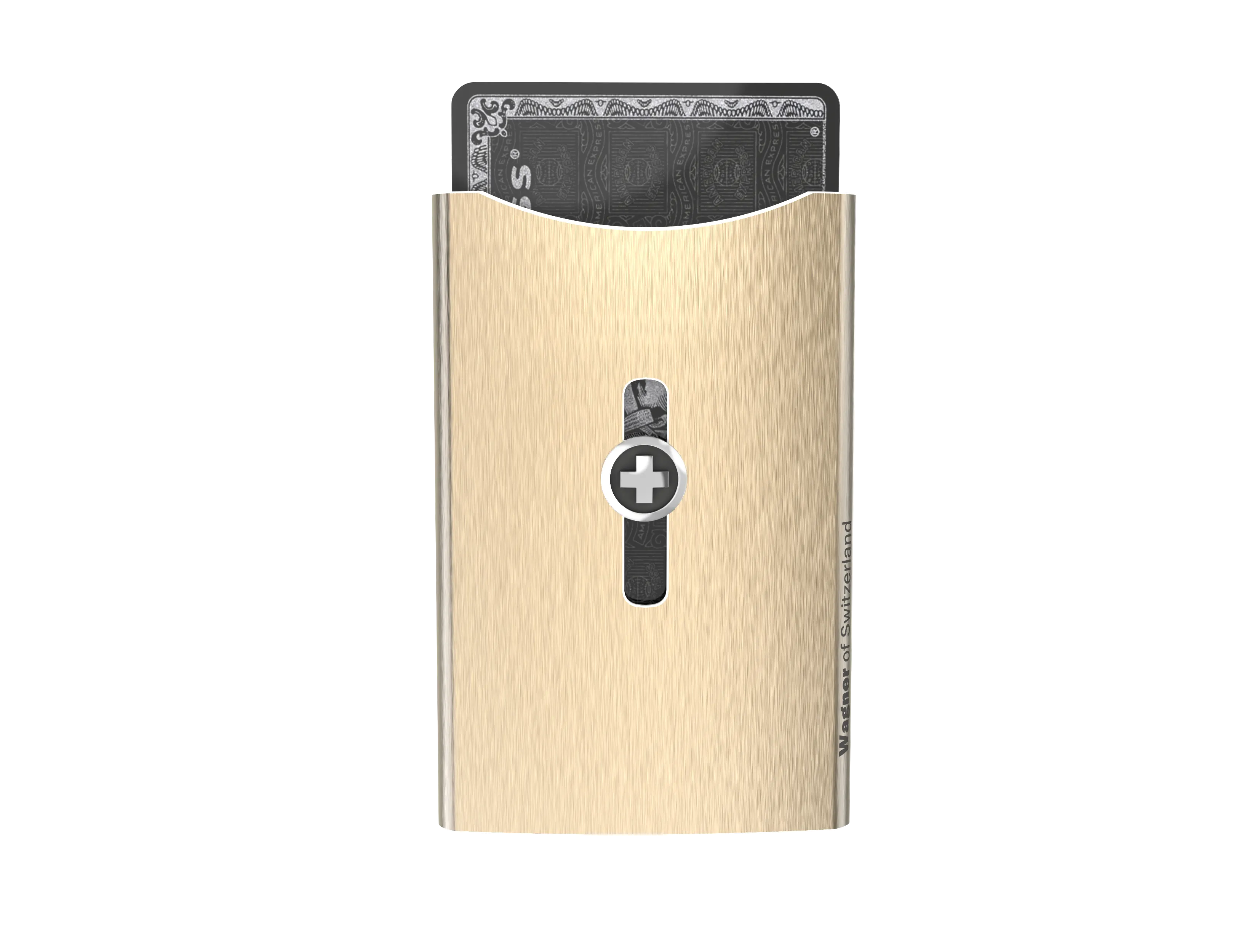 SWISS WALLET ICE, Cardholder Money-clip, brushed black