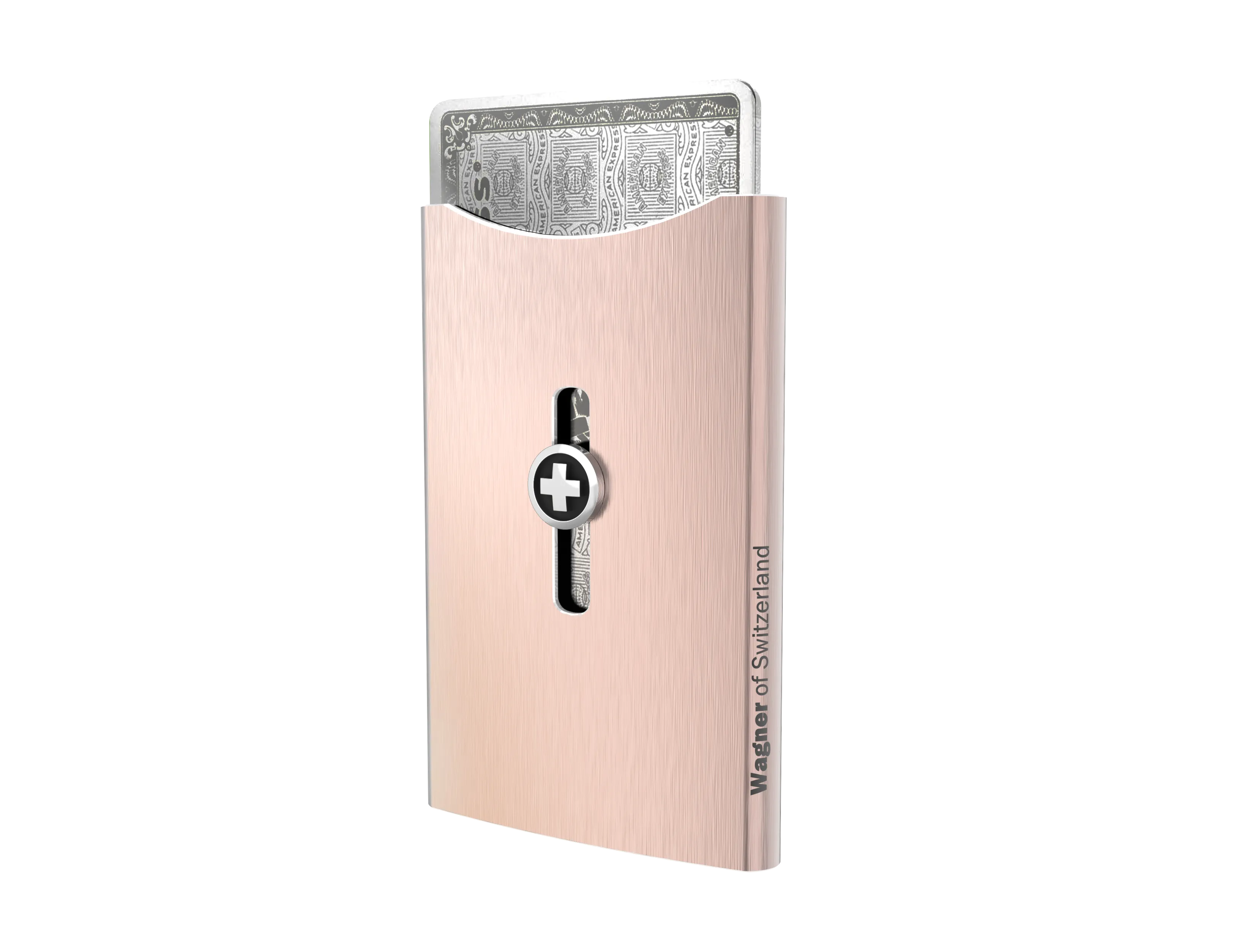 SWISS WALLET ICE, Cardholder Money-clip, brushed black