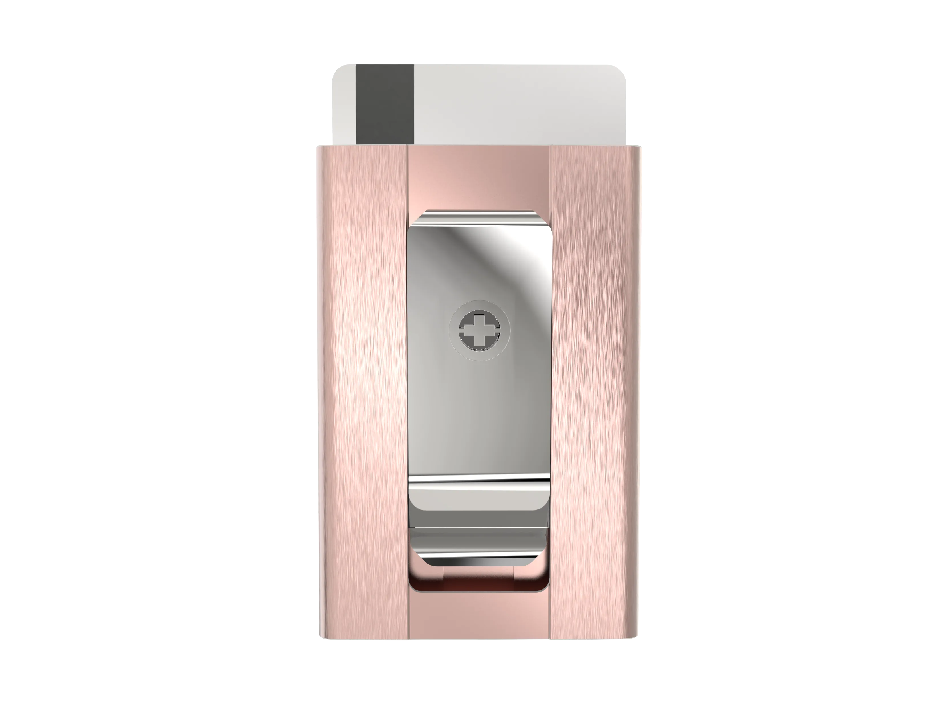 SWISS WALLET ICE, Cardholder Money-clip, brushed black